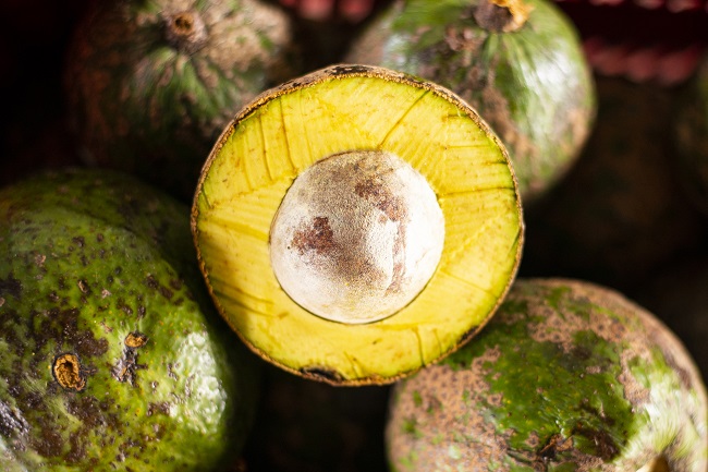 Abacate e acerola a R$ 4,50/kg na Ceasa em Maracanaú