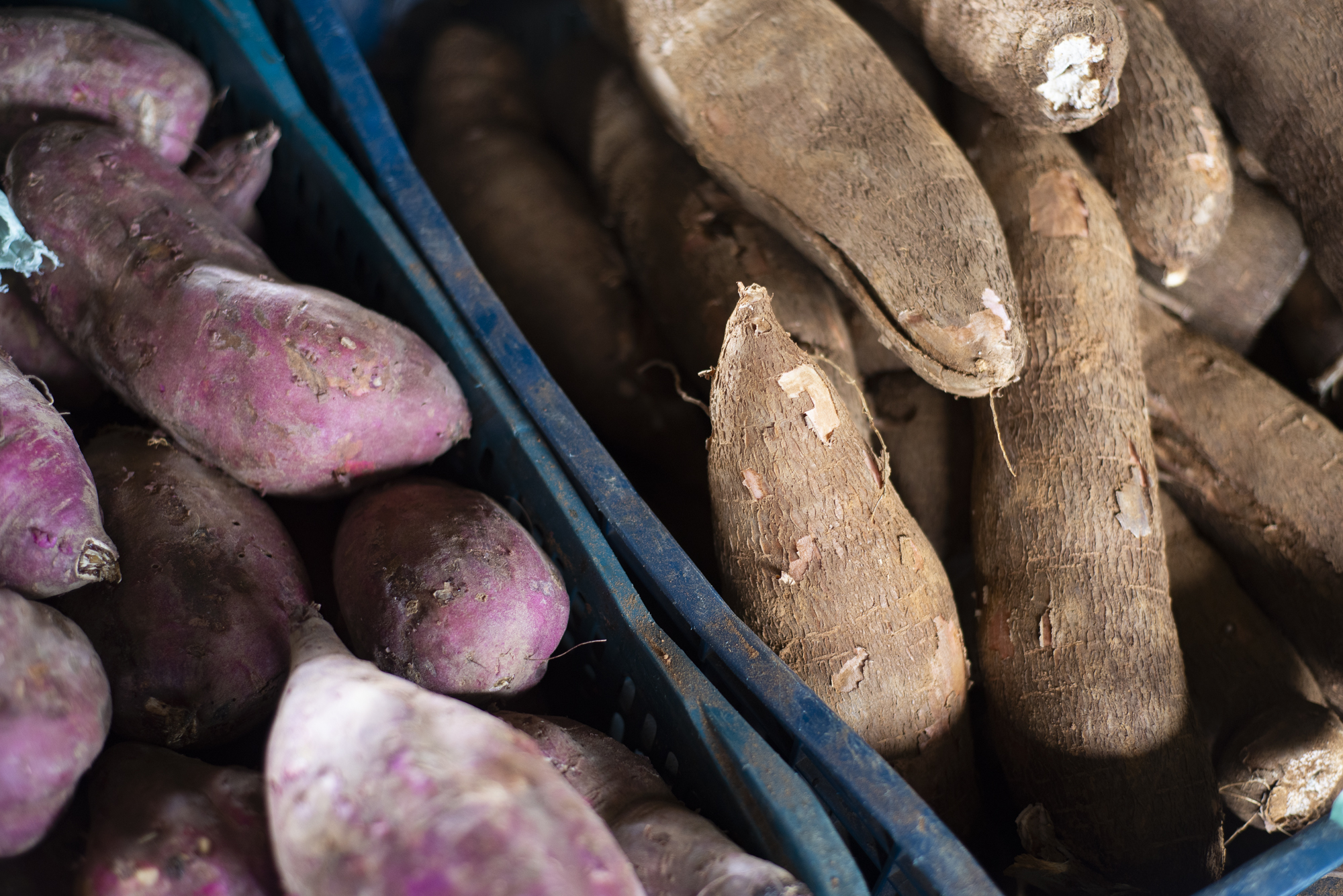 Tradição junina aumenta as vendas de produtos típicos