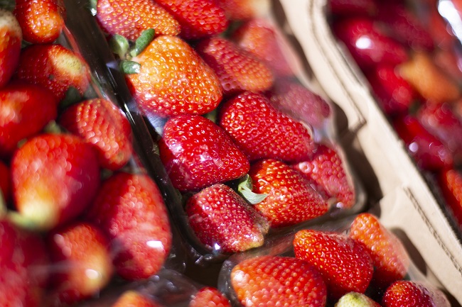 Preço do morango tem queda de 37,5% na Ceasa em Maracanaú