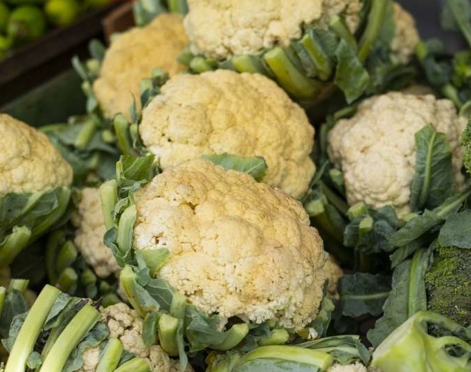 Ceasa em Maracanaú registra queda de 30% no preço da couve flor