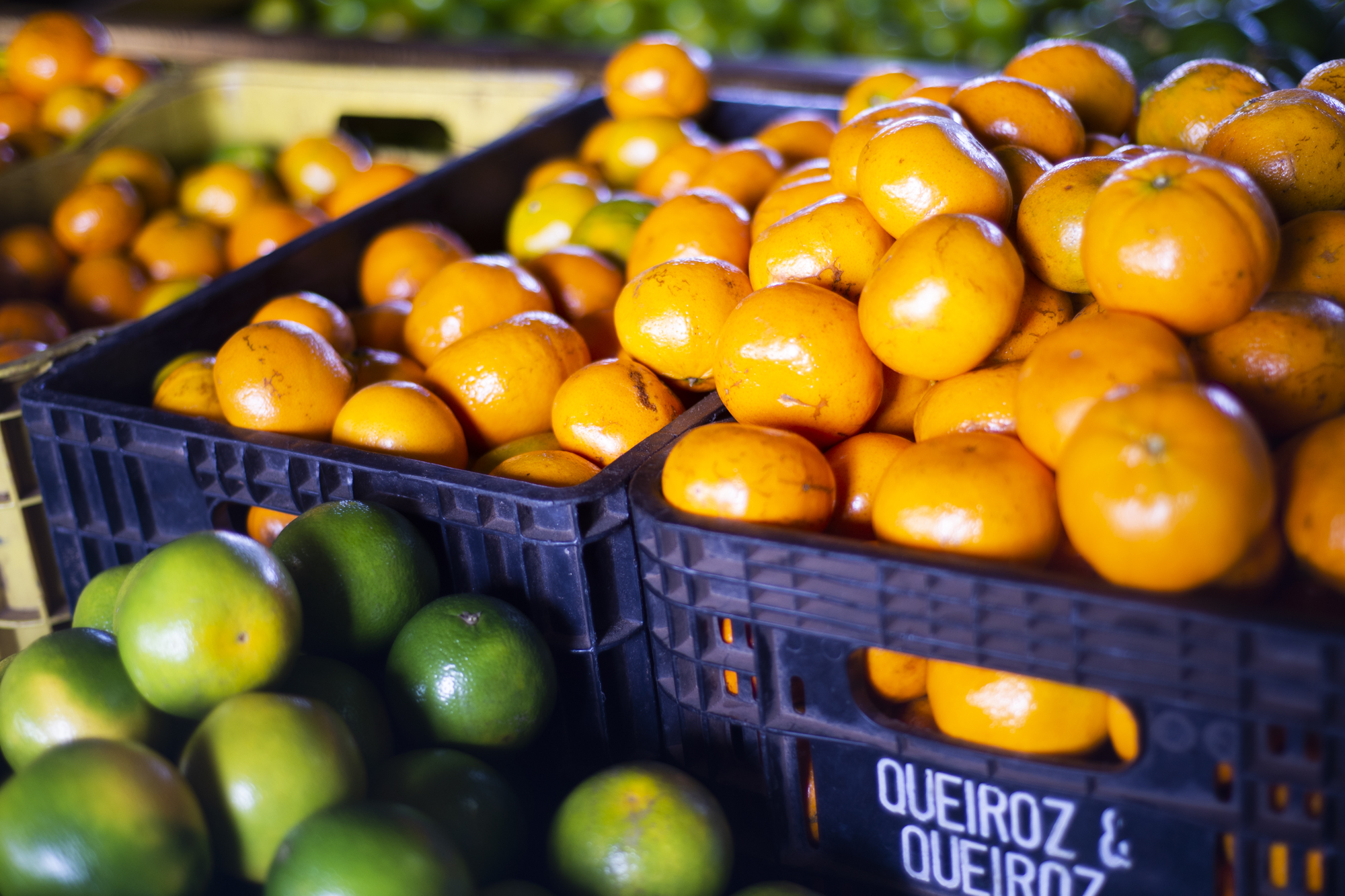 Frutas refrescantes que devem ser consumidas no verão