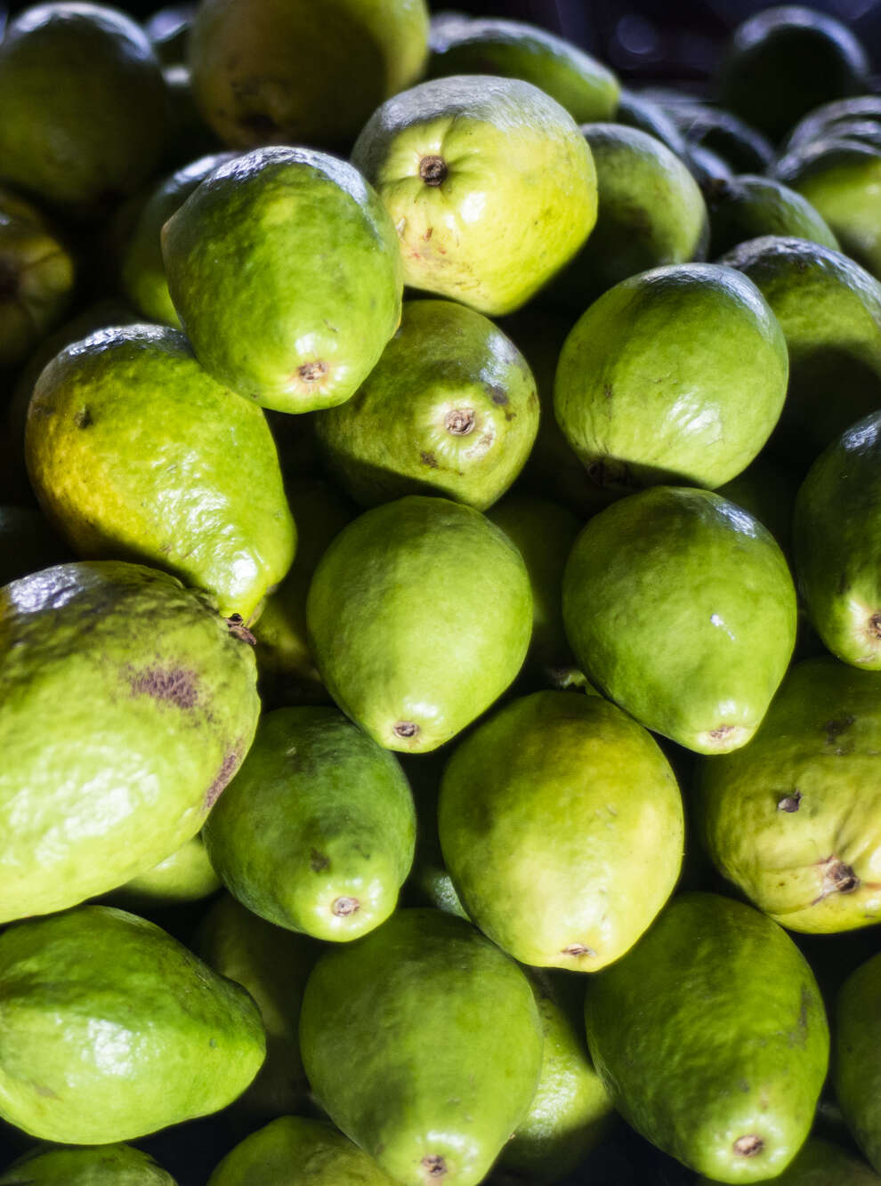 Goiaba declina 33,3% na Ceasa do Cariri