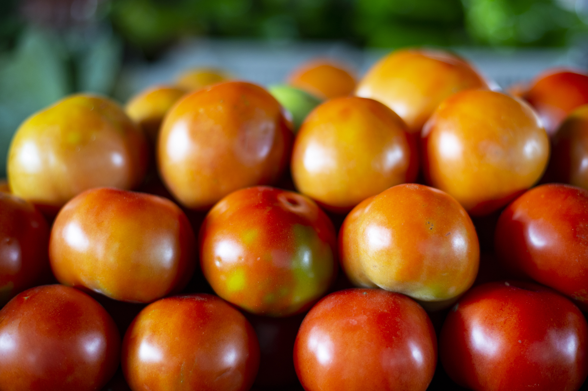 Preço do tomate cai 44,4% na Ceasa Cariri