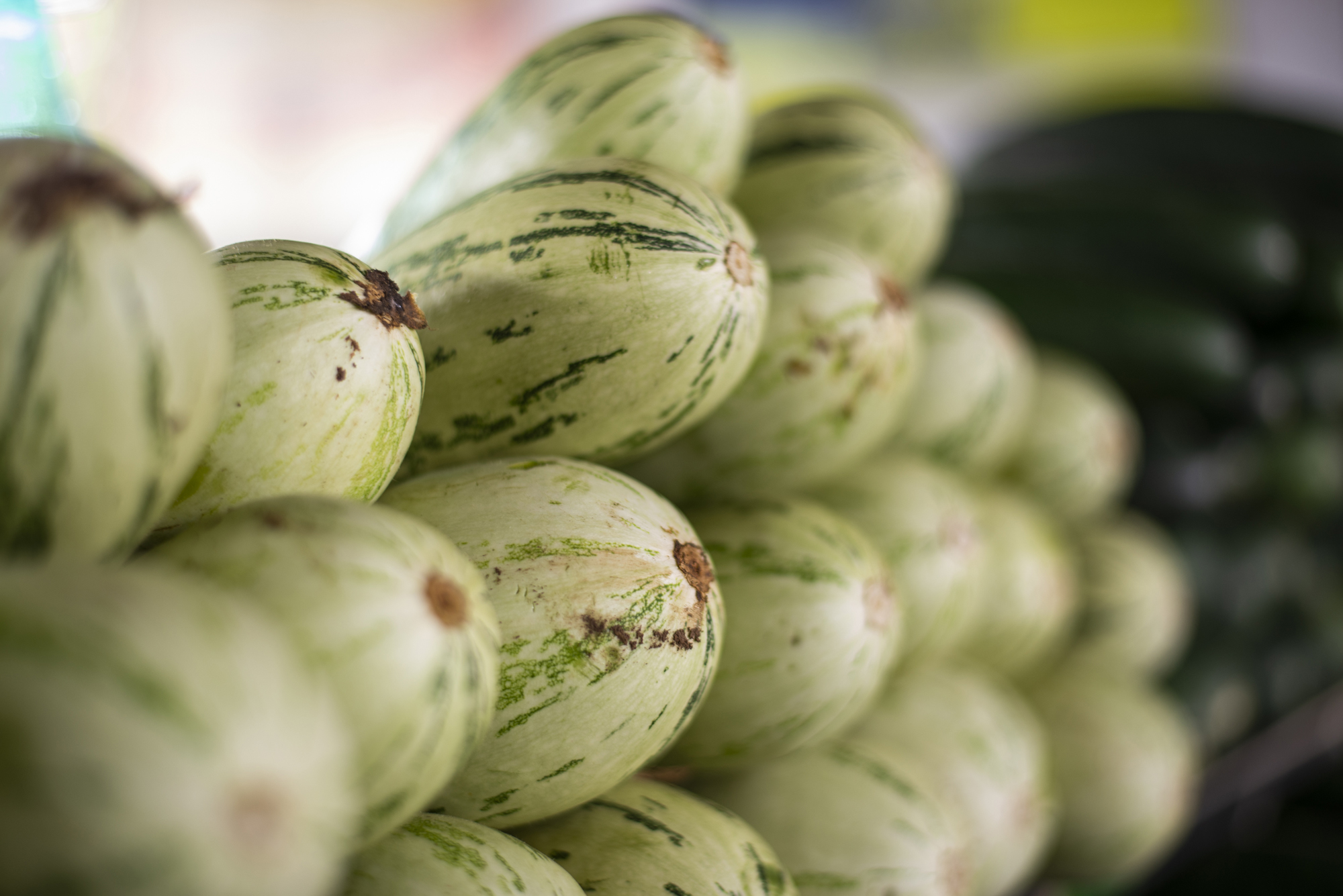 Preço da abobrinha italiana cai 20% na Ceasa em Tianguá