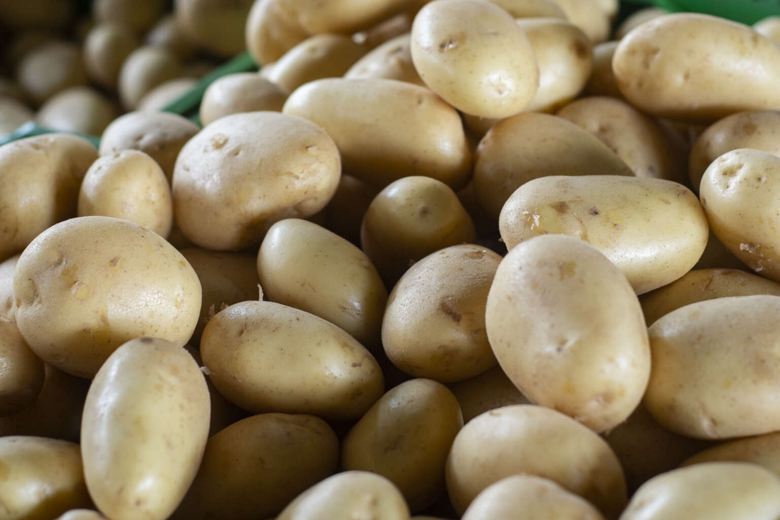 Preço da batata inglesa cai 38,5% na Ceasa Cariri