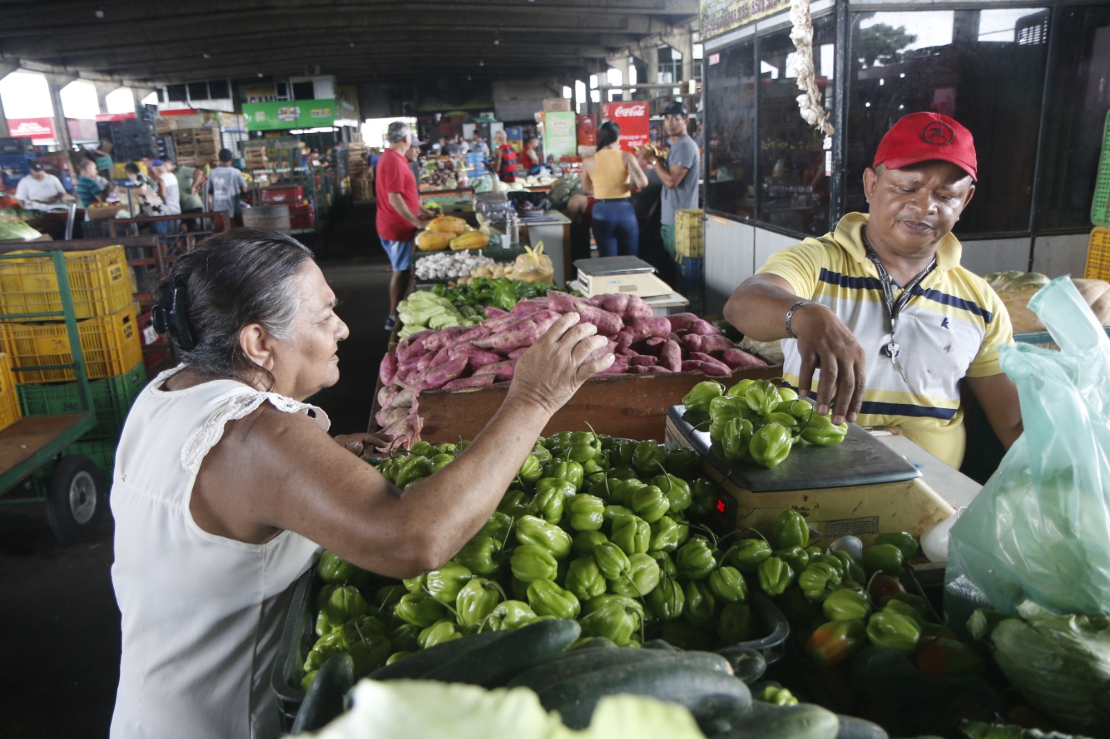 IPCE registra queda de 4,05% no setor de Hortaliças Fruto