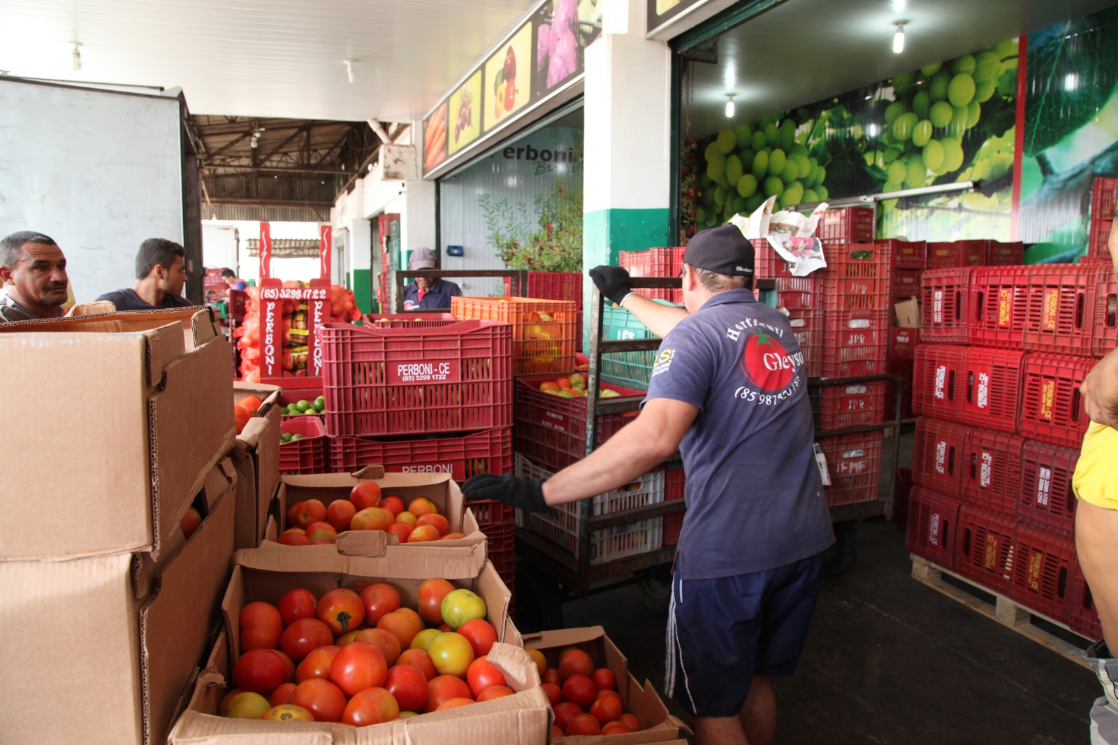 Tomate declina de preço na Ceasa em Maracanaú