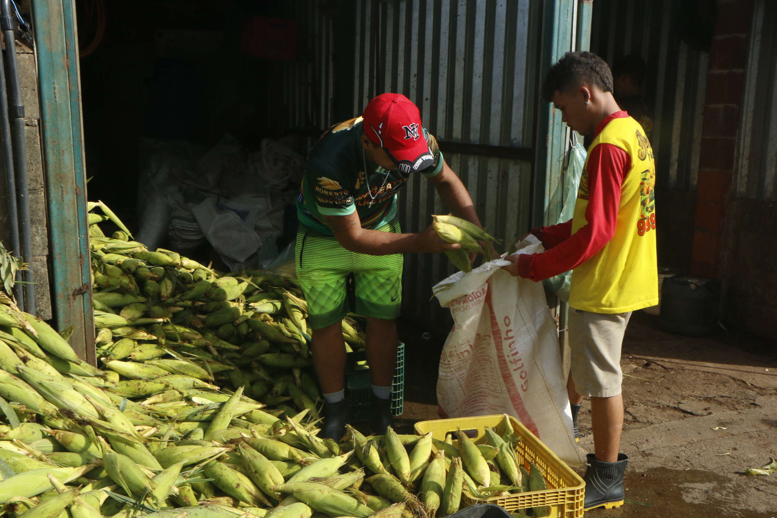 Ceasa-CE registra bons preços para produtos típicos juninos