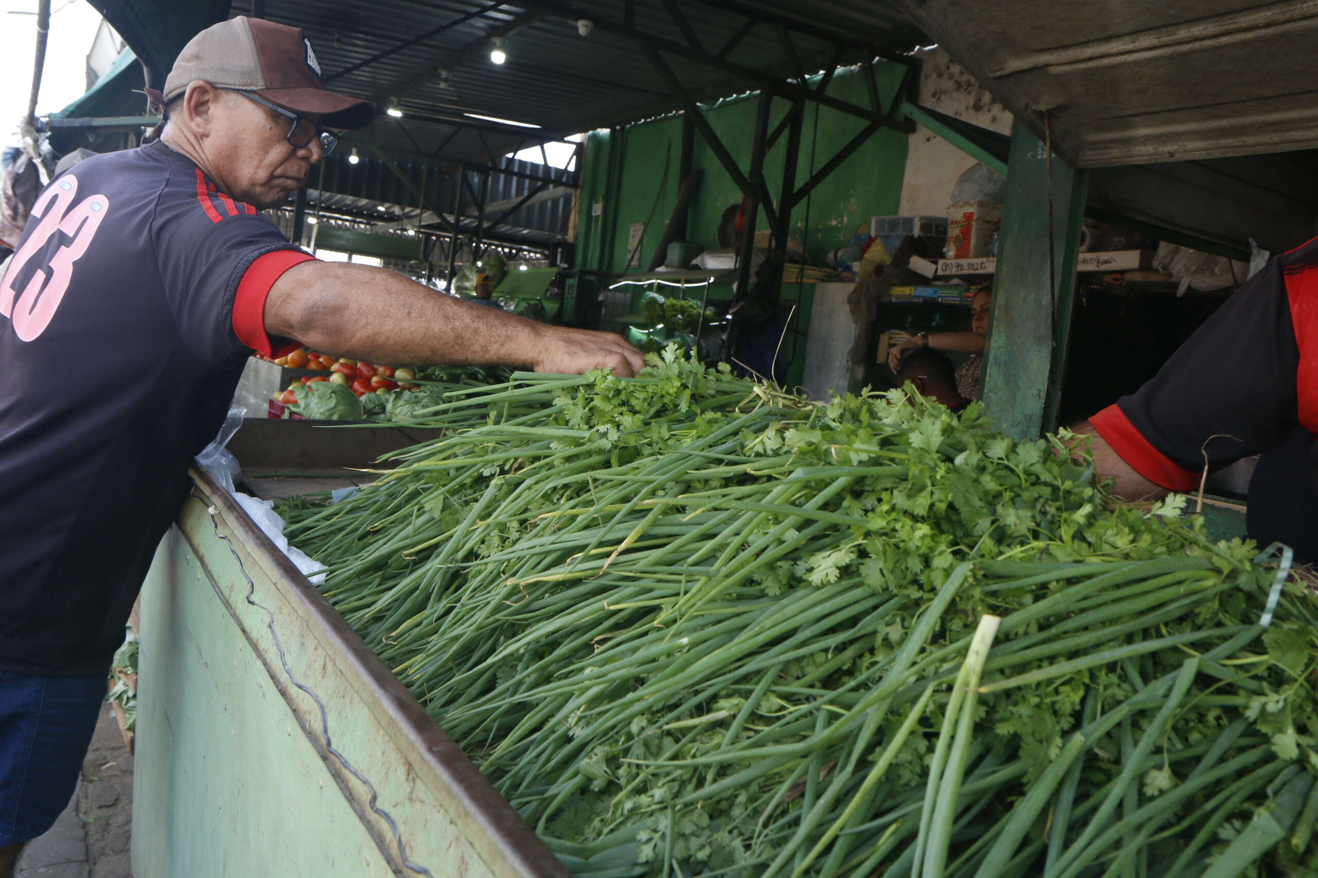 Preço do cheiro verde tem queda de 66,7% na Ceasa Cariri