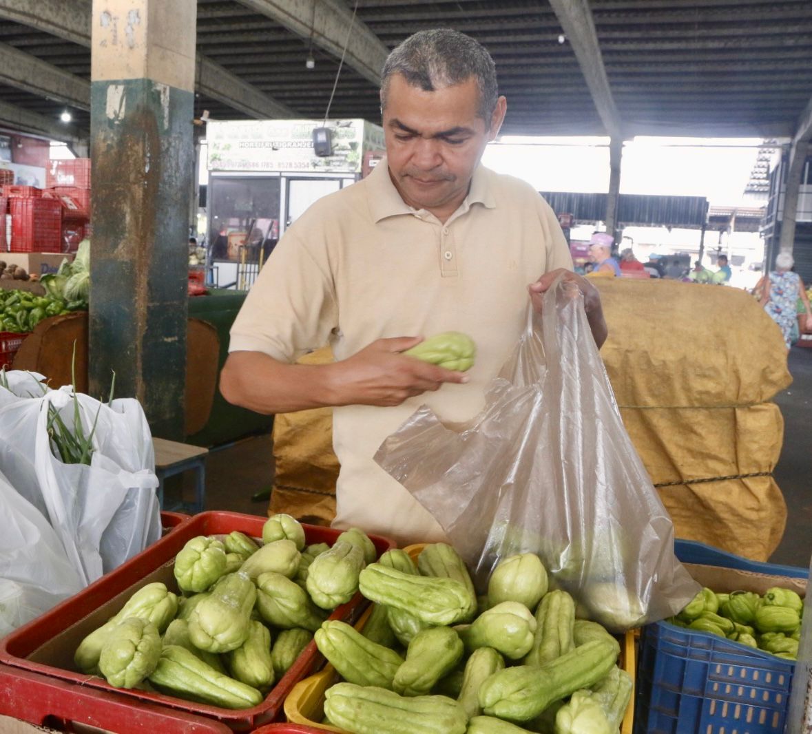 Fique por dentro dos benefícios do Chuchu
