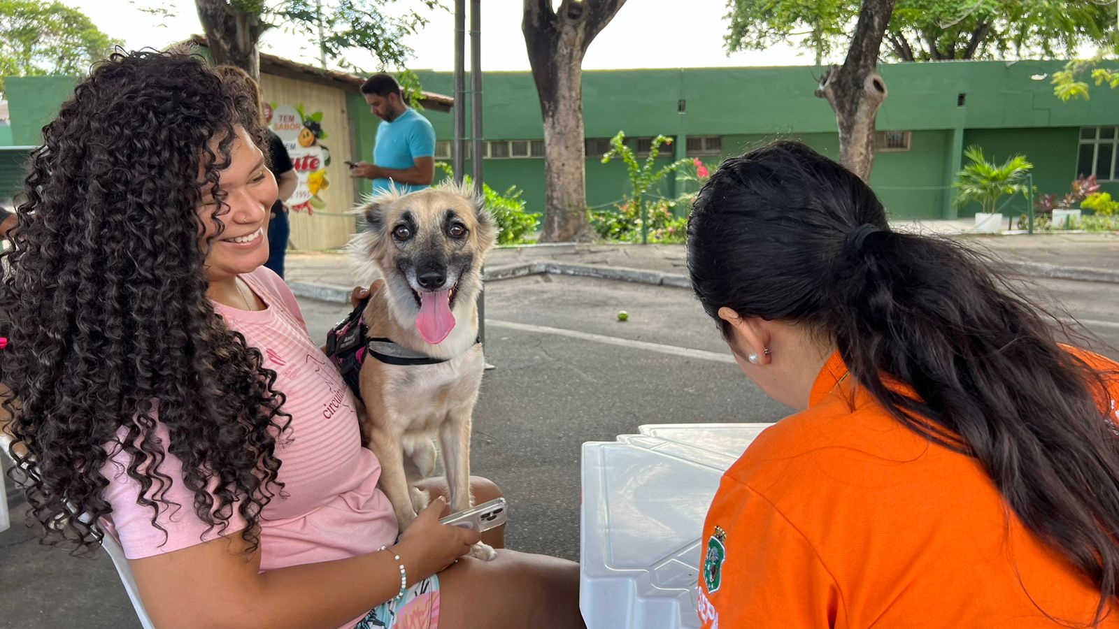 Ceasa-CE oferta serviço de castração para cães e gatos