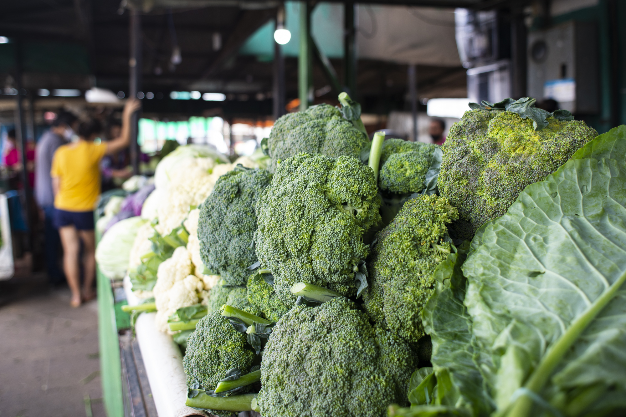 Brócolis: alimento funcional, nutritivo e em plena safra na Ceasa Ceará