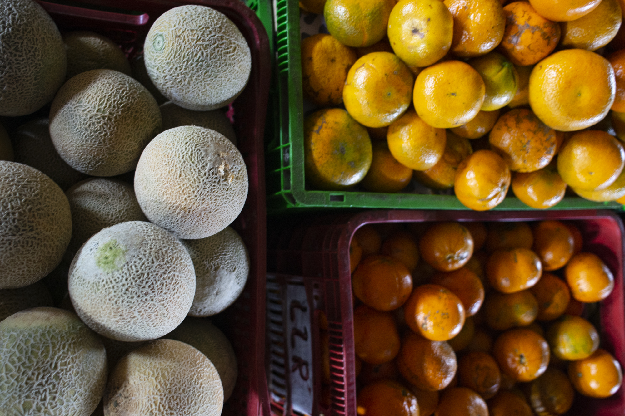 Ceasa – CE mantém abastecimento e diversidade de produtos com preços atrativos