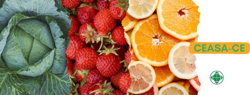 Banner Destaque