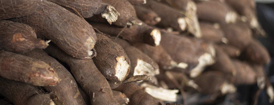 Produtos típicos das festas juninas ganham destaque na Ceasa-CE