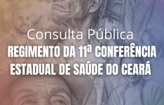 Cesau/CE abre consulta pública para o Regimento da 11ª CES