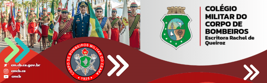 Cópia de RODAPÉ SITE