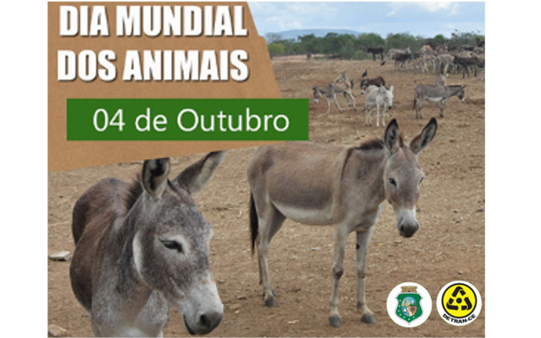 Dia Mundial dos Animais Recolhimento de Animais nas Rodovias Estaduais