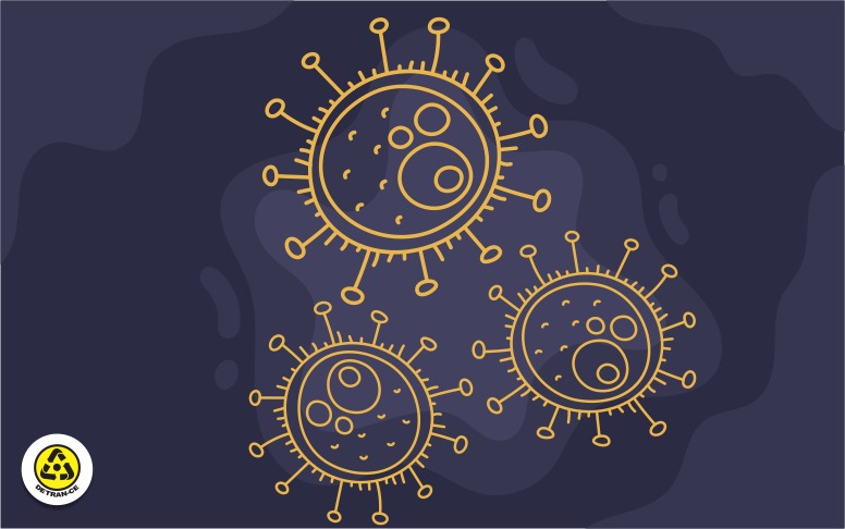 Detran-CE adota medidas de enfrentamento ao Coronavírus