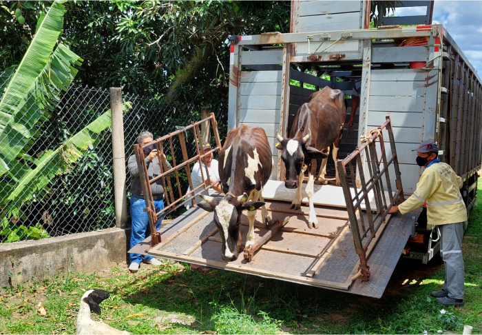 Detran-CE realiza doação de animais recolhidos em CEs a instituição beneficente de Baturité