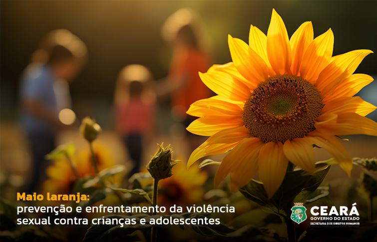 Ações da Secretaria dos Direitos Humanos reforçam a importância da prevenção e do enfrentamento à violência sexual contra crianças e adolescentes