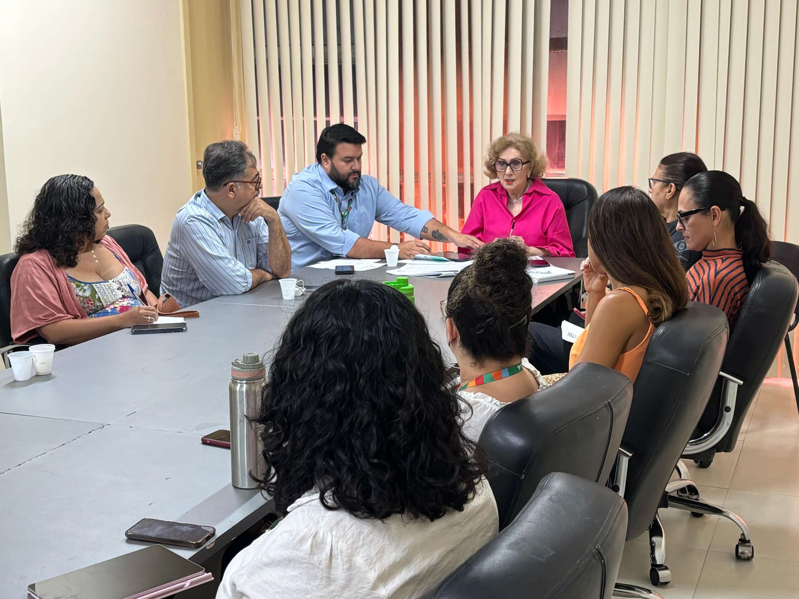 Colegiado debateu ações do Plano Estadual dos Direitos Humanos na última quinta-feira (20)