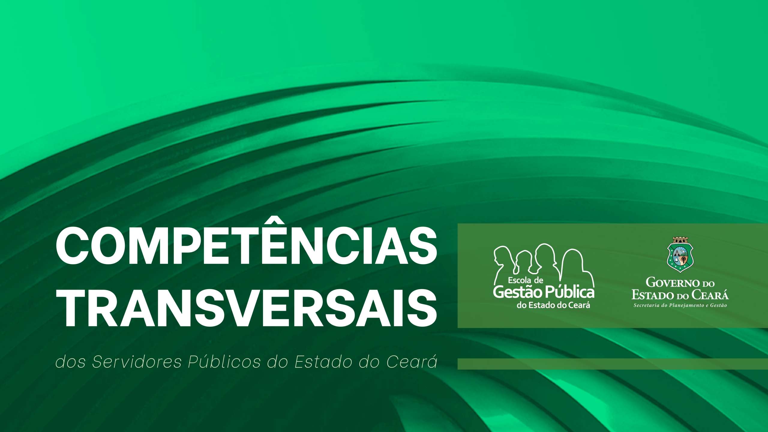 Doc – Competências Transversais do Servidor Público do Estado do Ceará