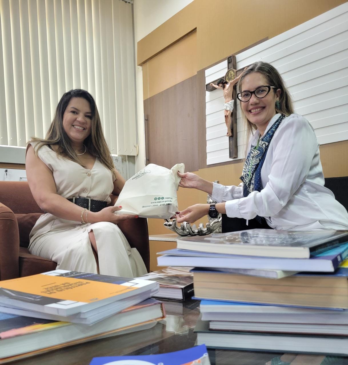 Presidente da ADAGRI será uma das homenageadas no projeto “Mulheres Líderes” criado pela EGPCE