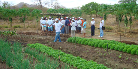 Dia de Campo movimenta Fazenda Santo Izidro