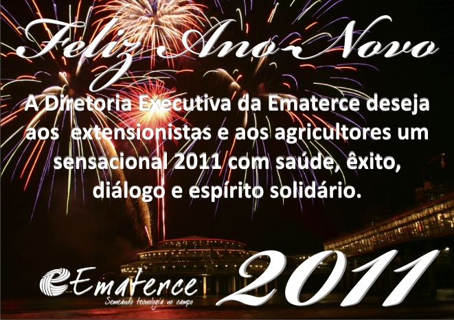 A Diretoria Executiva da Ematerce deseja a todos um sensacional 2011.