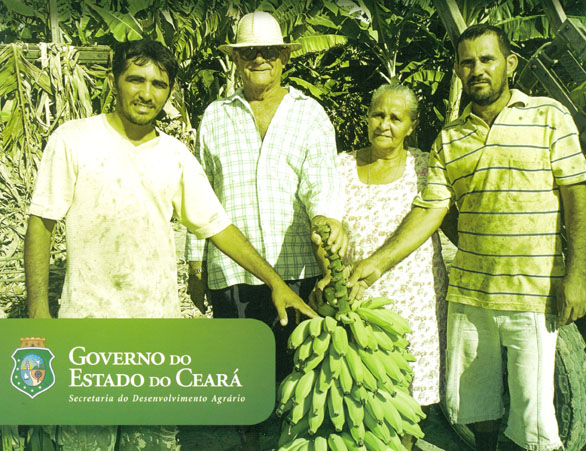 ONU: 2014 O ANO INTERNACIONAL DA AGRICULTURA FAMILIAR