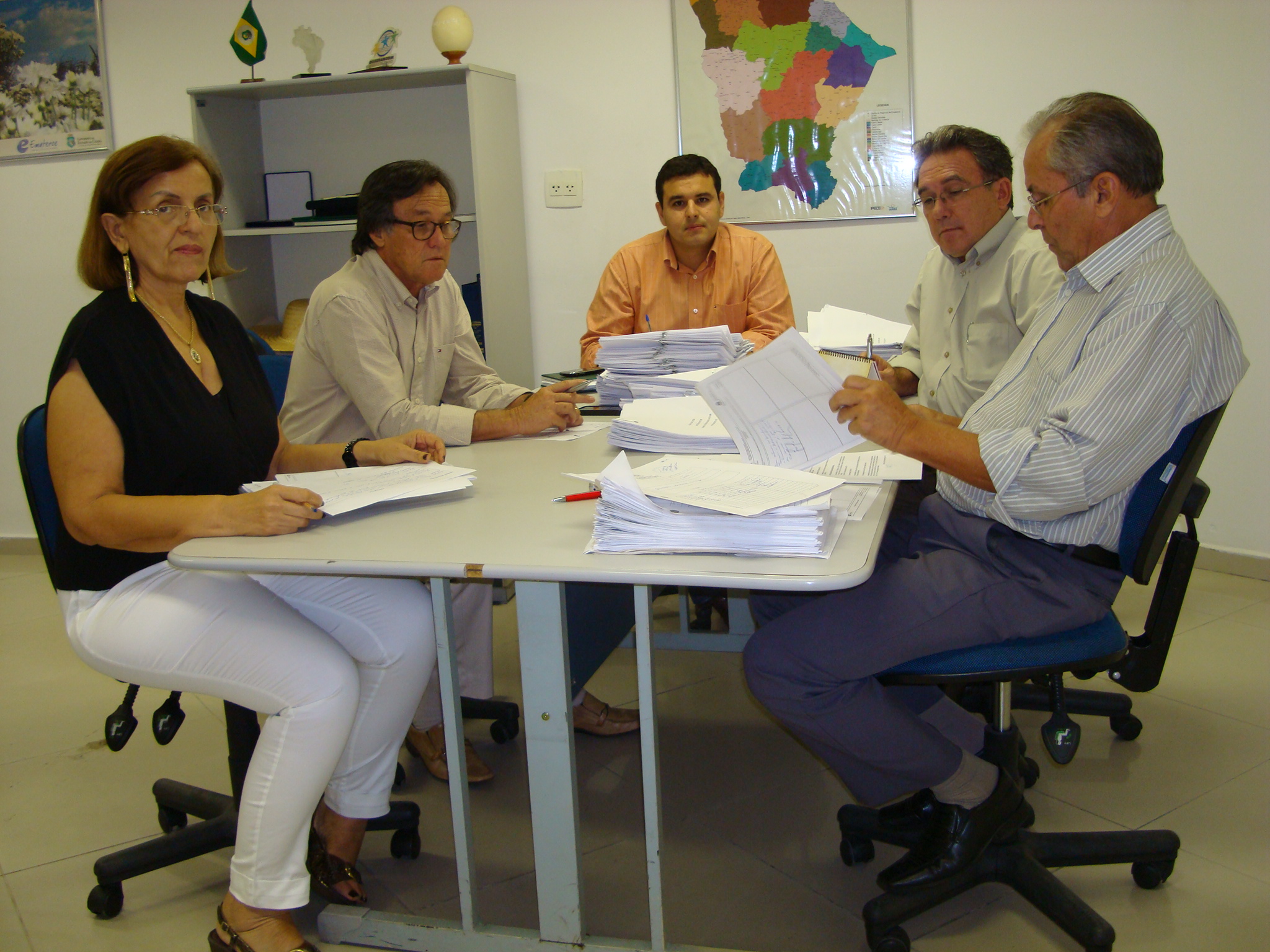 Reunião Ordinária da diretoria executiva
