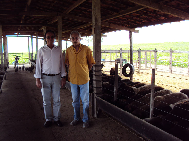 Presidente da Ematerce visita criação de suínos, ovinos e caprinos