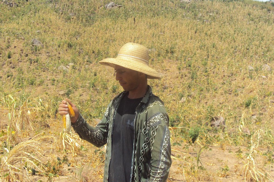 Potengi: Ematerce verifica perdas nas lavouras
