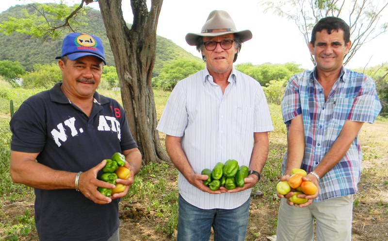 Quixeramobim: Ematerce orienta plantio de tomate e pimentão
