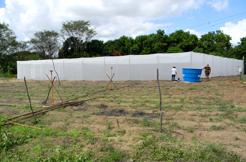Quixeramobim: Ematerce acompanha projeto de cultivo protegido