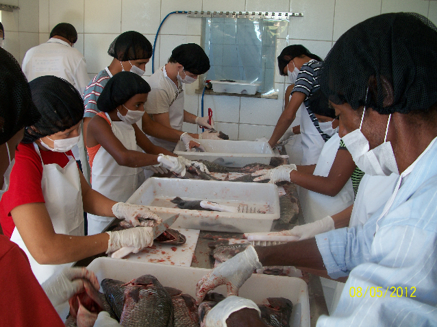 Lavras da Mangabeira: curso de processamento de pescado