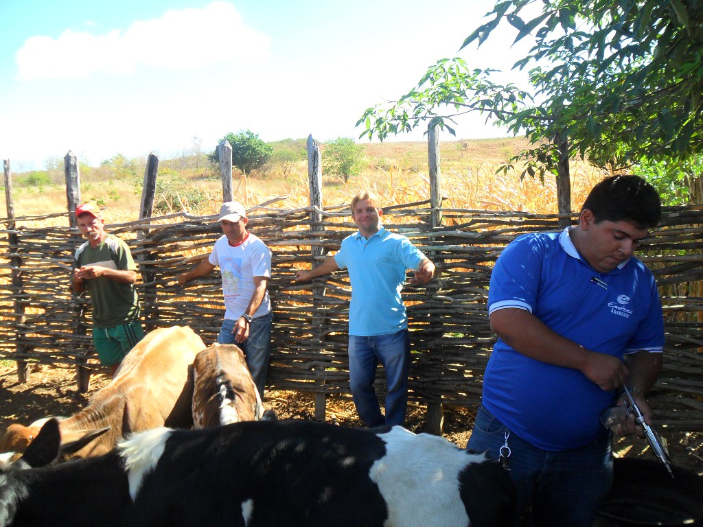 Campos Sales: lançamento da campanha contra febre aftosa