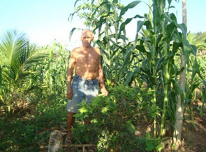 Apuiarés: quintal produtivo em Vila Soares