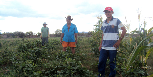 Pentecoste: agricultor produz alimentos em plena seca de 2012