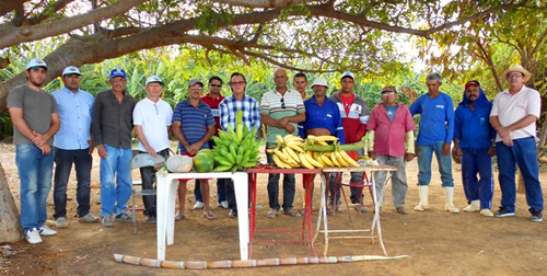 Quixeré: Ematerce assiste projeto da Agricultura Familiar