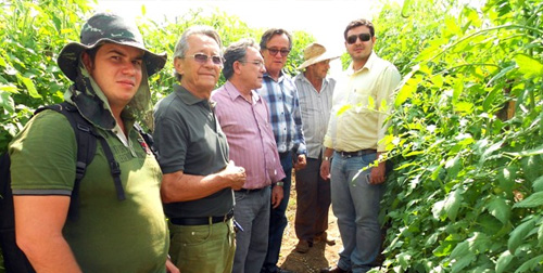 Diretoria da Ematerce visita Projeto Produtivo em Quixeramobim