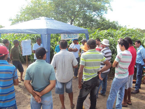 Tabuleiro do Norte: Dia de Campo sobre irrigação por gotejamento
