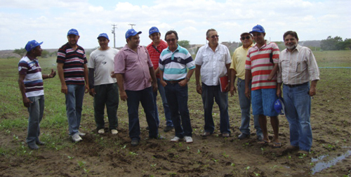 Agricultores alcançam produção e produtividade satisfatórias em plena seca