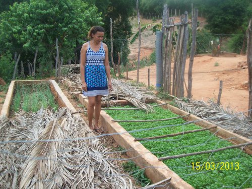Caririaçu: assessores da Ematerce visitam unidades dos Projetos Produtivos