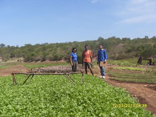 Cariri-Oeste: assessores e agente rural visitam agricultor familiar de hortaliças