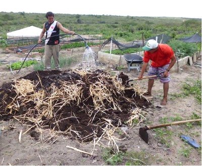 Campos Sales: agricultores aprendem a fazer composto orgânico