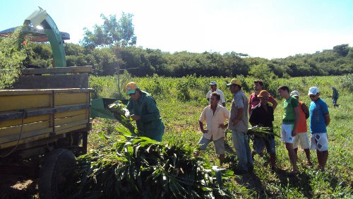 Assaré: Ematerce capacita agricultores em conservação de forragens