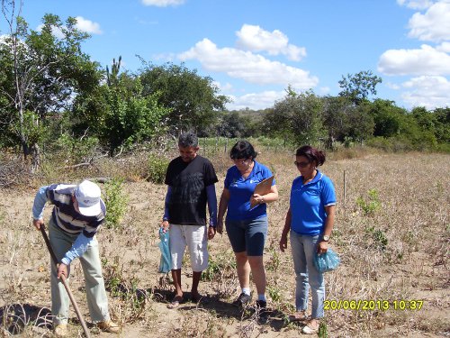 Assaré: técnicos da Ematerce visitam agricultor familiar