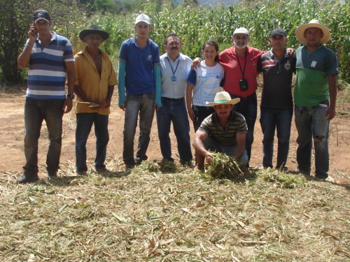 Frecheirinha: Ematerce realiza Dia de Campo sobre ensilagem